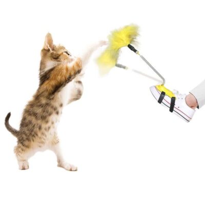 Verrückte Fußfeder für deine Katze
