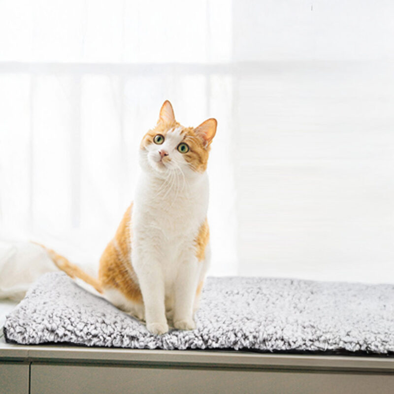 Katzen ThermoMatte FellWarm – Bild 10
