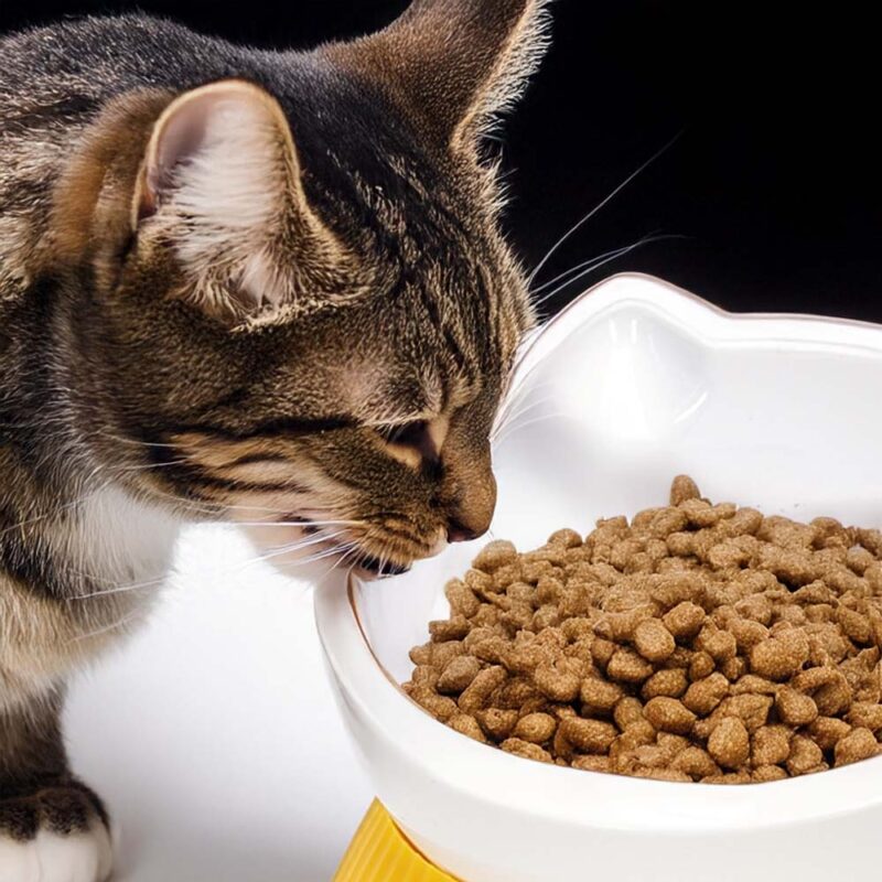 Katzen-Ergo-Schale – Bild 10