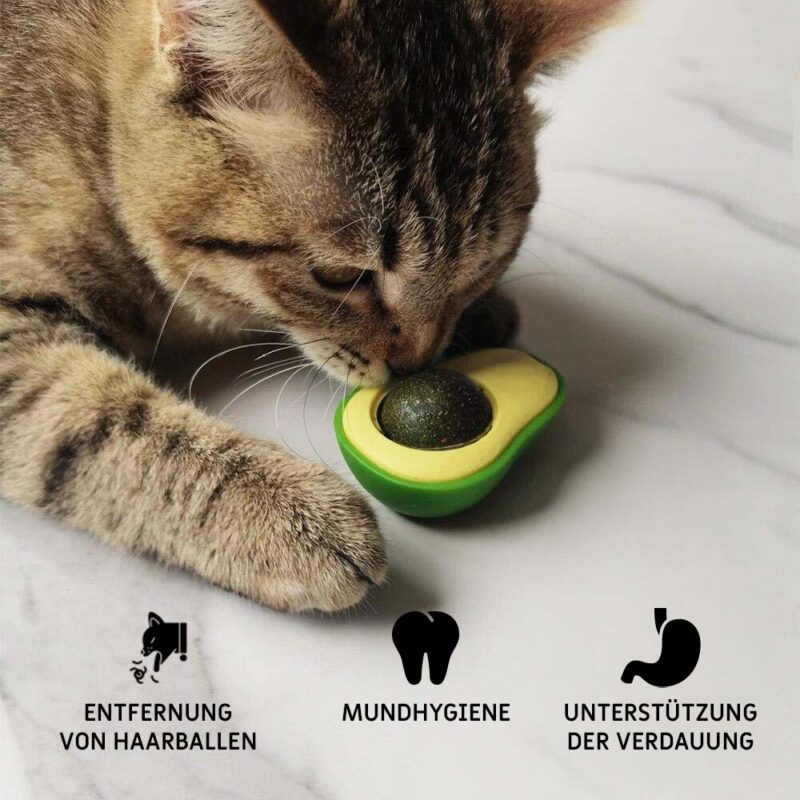 Drehbare Katzenminze AvocadoJoy – Bild 13
