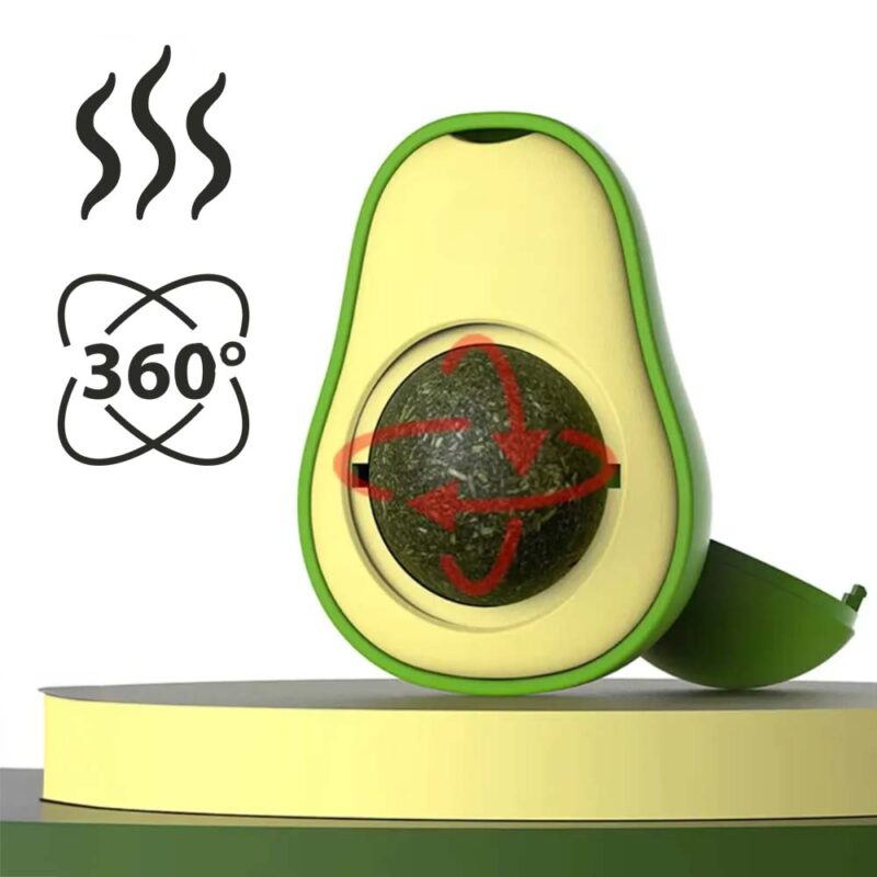 Drehbare Katzenminze AvocadoJoy – Bild 4
