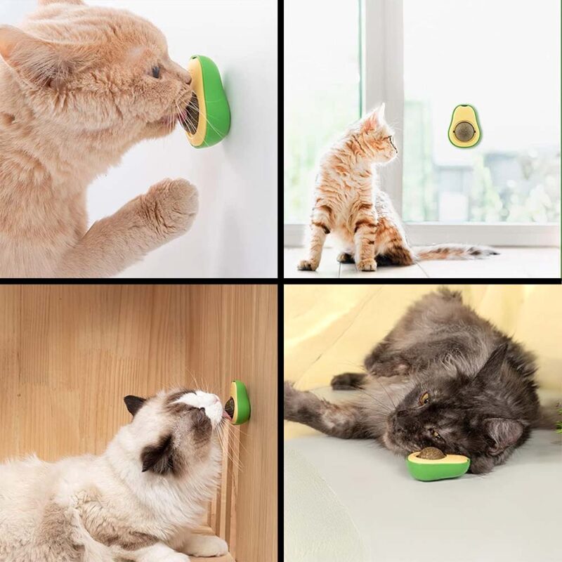 Drehbare Katzenminze AvocadoJoy – Bild 7
