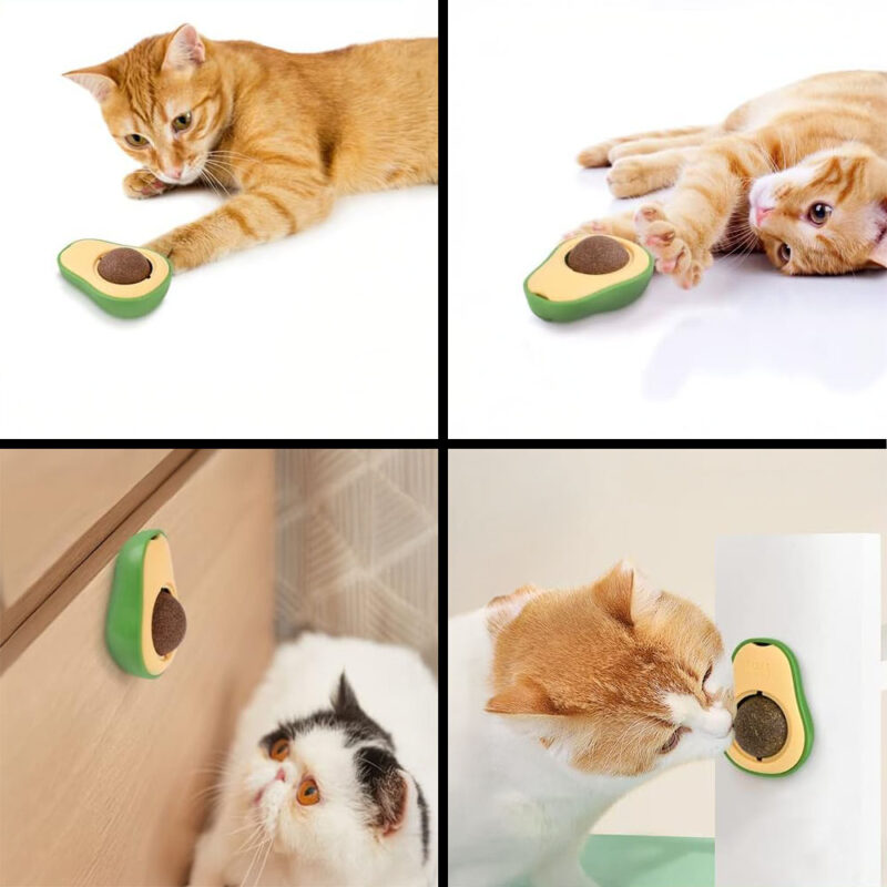 Drehbare Katzenminze AvocadoJoy – Bild 8