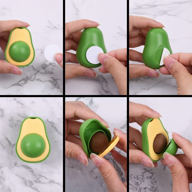 Drehbare Katzenminze AvocadoJoy – Bild 3