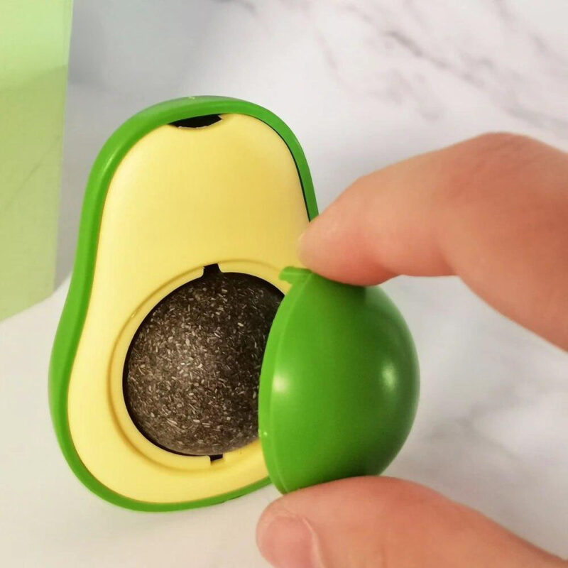 Drehbare Katzenminze AvocadoJoy – Bild 6