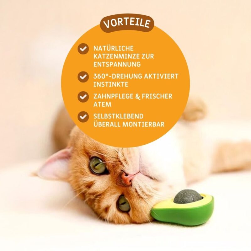 Drehbare Katzenminze AvocadoJoy – Bild 2