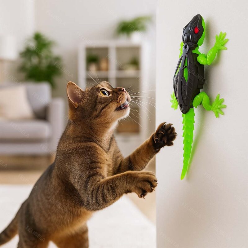 GeckoFlitzer für Katzen – Bild 11