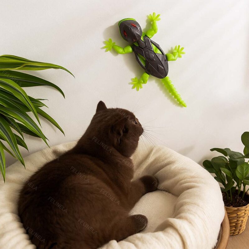 GeckoFlitzer für Katzen – Bild 8