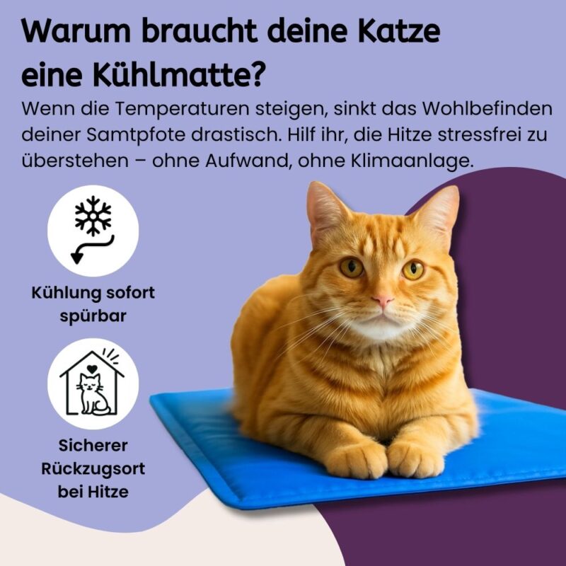 KatzenKühlmatte ChillSpot – Bild 2
