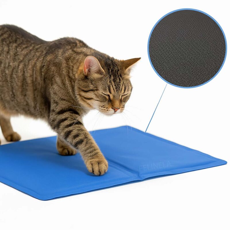 KatzenKühlmatte ChillSpot – Bild 9