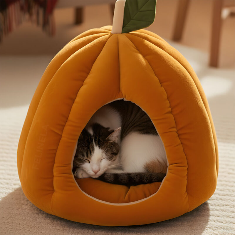 Kürbishöhle für Katzen – Bild 7