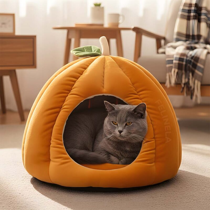 Kürbishöhle für Katzen – Bild 2