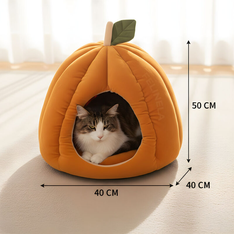 Kürbishöhle für Katzen – Bild 3