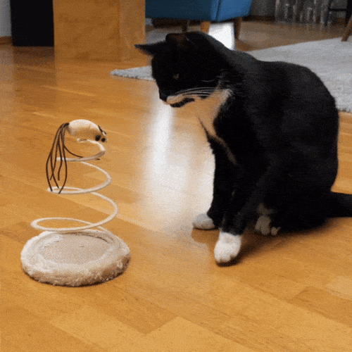 Federnde Maus reagiert auf Berührung der Katze