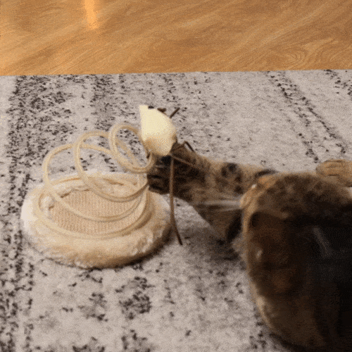 Robuste Katzenspielzeug-Maus mit langem Fransenschwanz