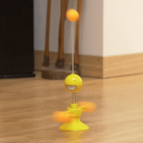 Katze spielt mit drehbarem 3-in-1-Katzenspielzeug