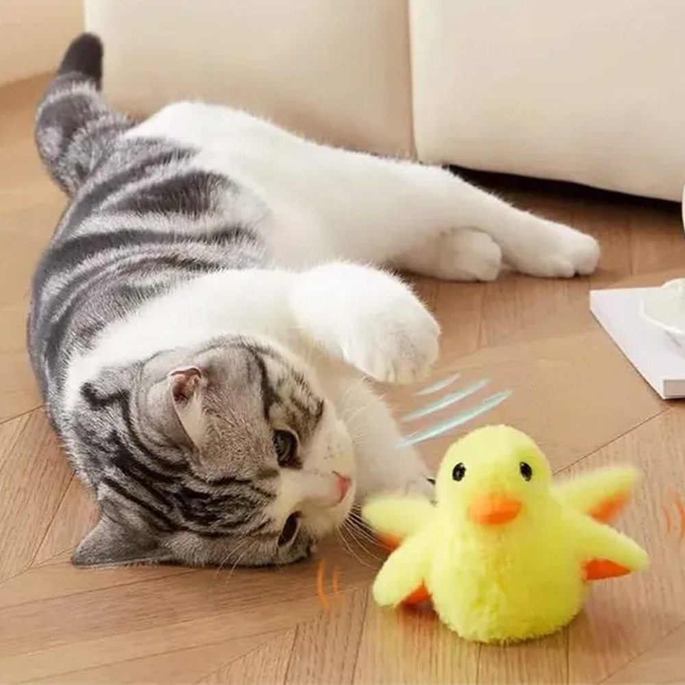 Katze spielt aktiv mit einer beweglichen Ente