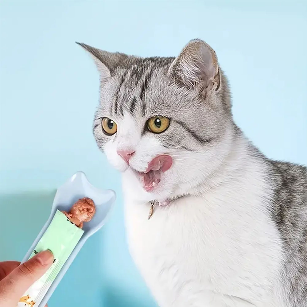 Sauberes Ausdrücken von Katzensnacks aus der Tube