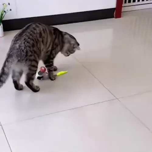 Katzenspielzeug mit mehreren Betriebsmodi