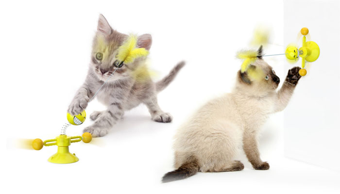Leichtes kompaktes Katzenspielzeug für Zuhause und unterwegs