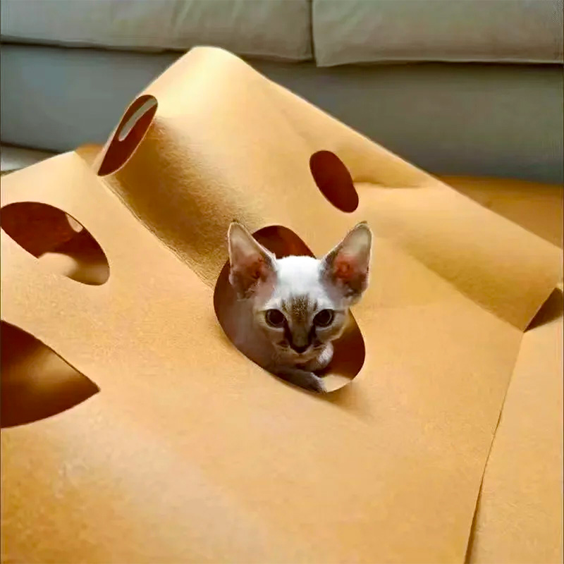 Katze erkundet die Öffnungen der Spielmatte