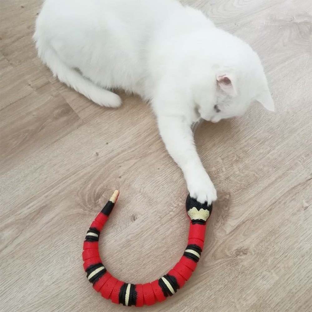 Katze spielt mit einer kriechenden Spielzeugschlange