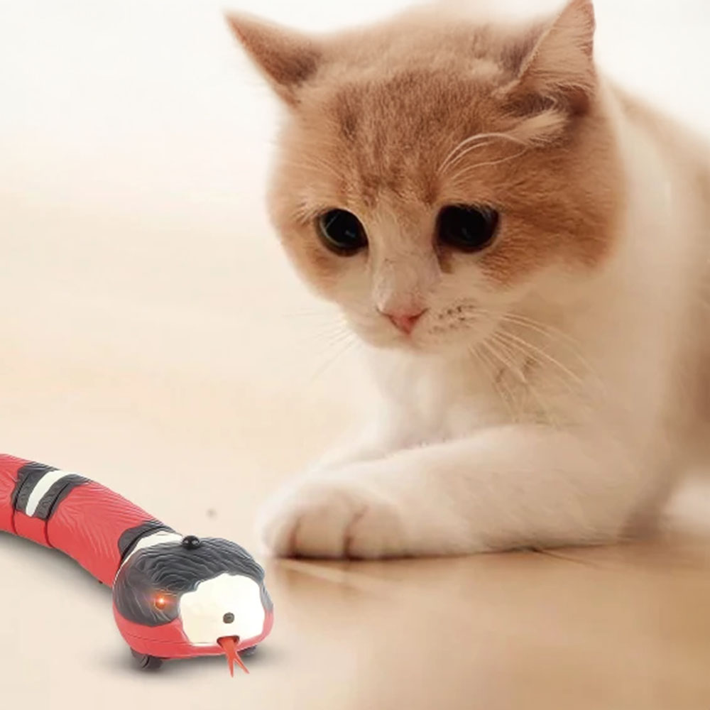 Realistische Schlange als Alternative zu klassischem Katzenspielzeug