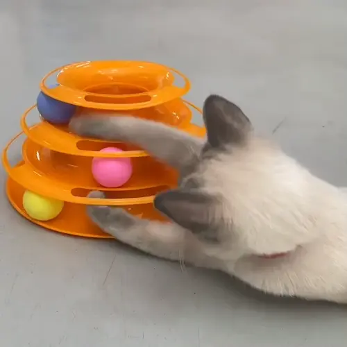 Kugelturm für Katzen mit drei Ebenen und bunten Bällen