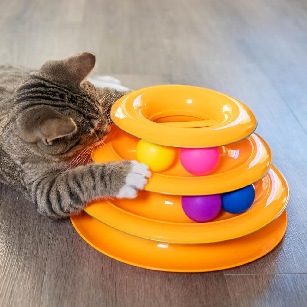 Bunte Bälle in geschlossenen Laufbahnen für Katzen