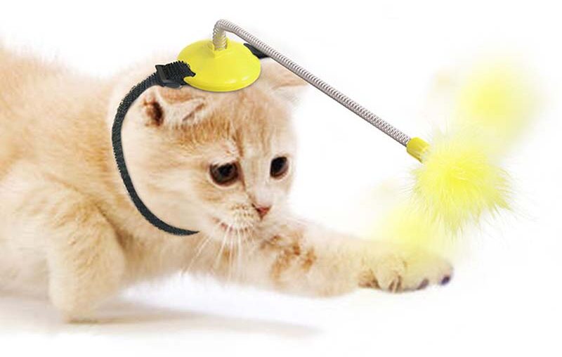 Wilde Feder Katzenspielzeug für Katzen