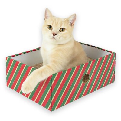 Karton Kratzbox ChillBox