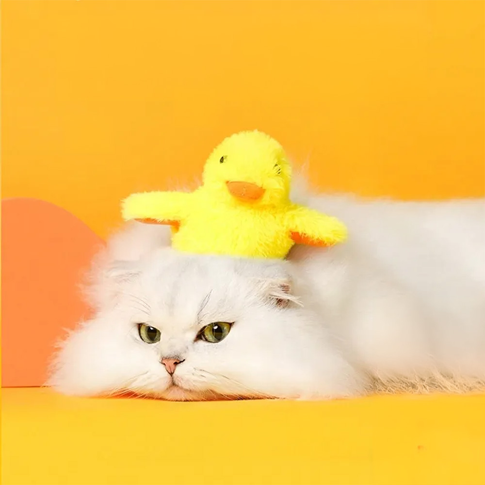 Jagd Ente für Katzen – Bild 5