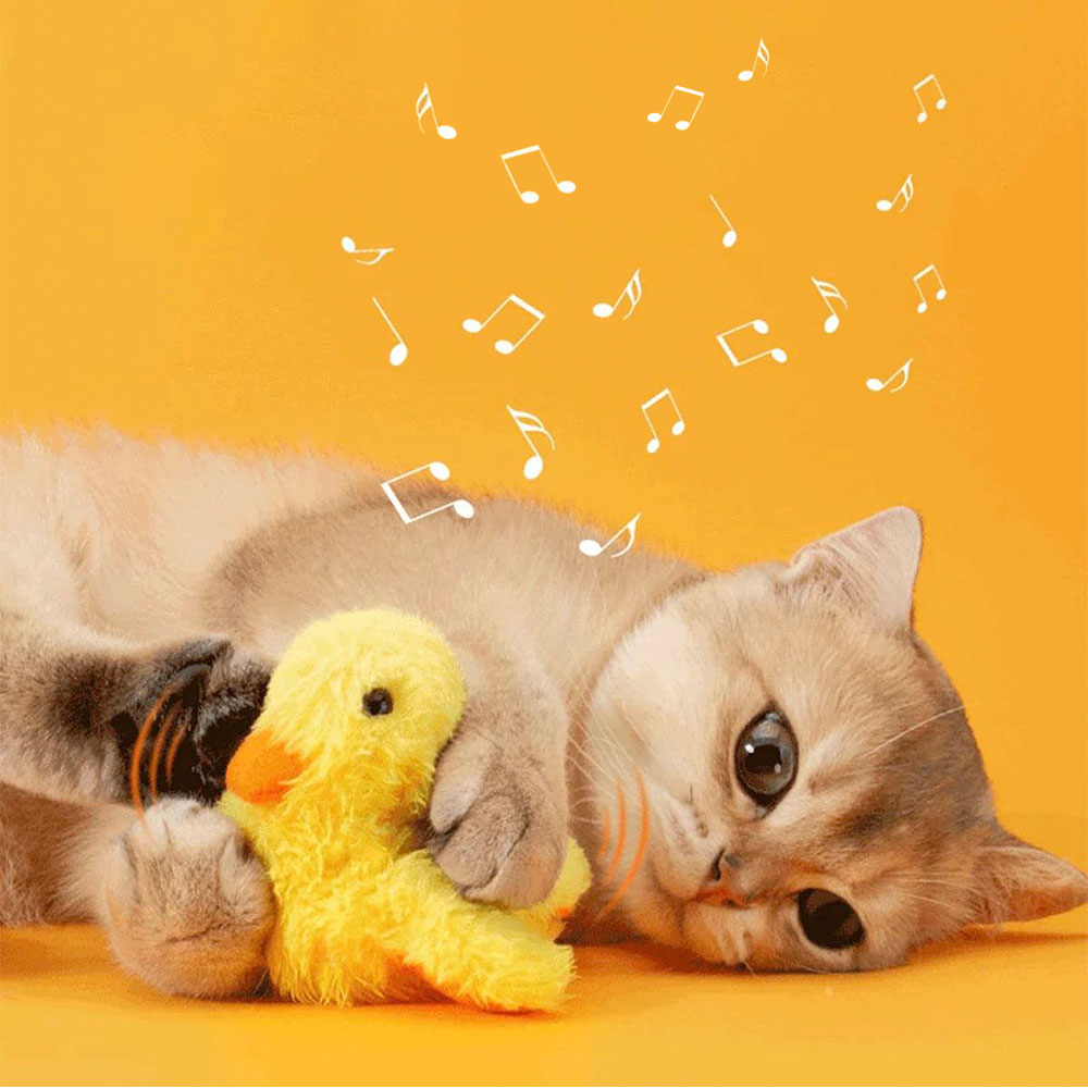 Jagd Ente für Katzen – Bild 10