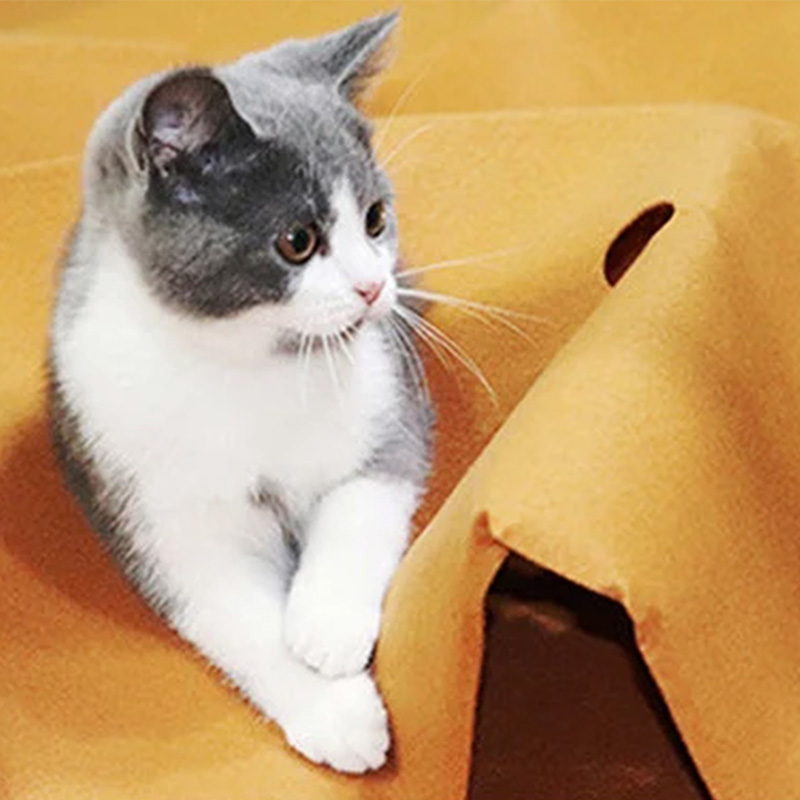 Katzen Labyrinth Spielmatte – Bild 7
