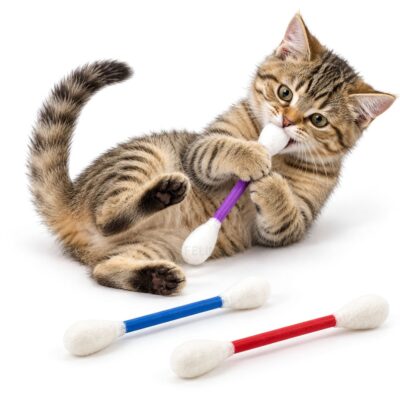 XXL Wattestäbchen für Katzen – 3er Set
