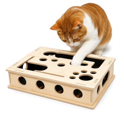 Fummelbox mit Krallenpflege PawQuest