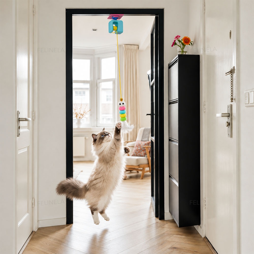 Eine Katze steht im Türrahmen auf den Hinterpfoten und greift nach der aufgehängten Raupe